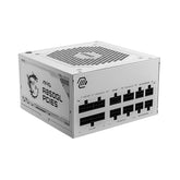 MSI MAG A850GL PCIE5 80Plus Gold Fully Modular Power Supply - White